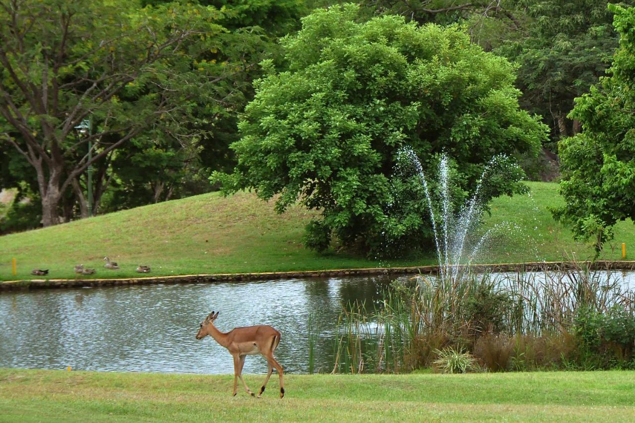 Kruger Park Lodge Unit No. 610B Hazyview Exteriör bild